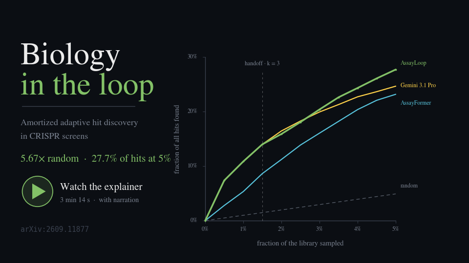 Title card for the AssayLoop explainer: recovery curves for AssayLoop, Gemini 3.1 Pro
                and AssayFormer against the random expectation line, with the k=3 handoff marked.
