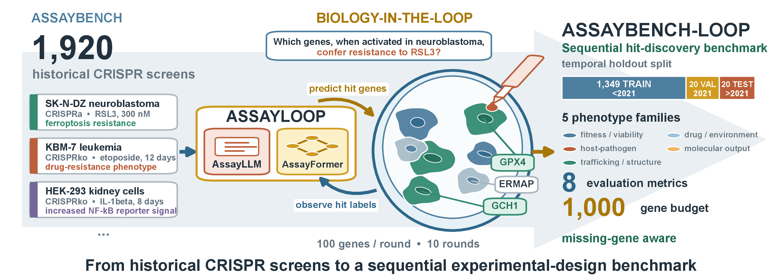 A screen is a library of genes, a phenotype and a hit set; a method picks 100 genes per round for ten rounds.