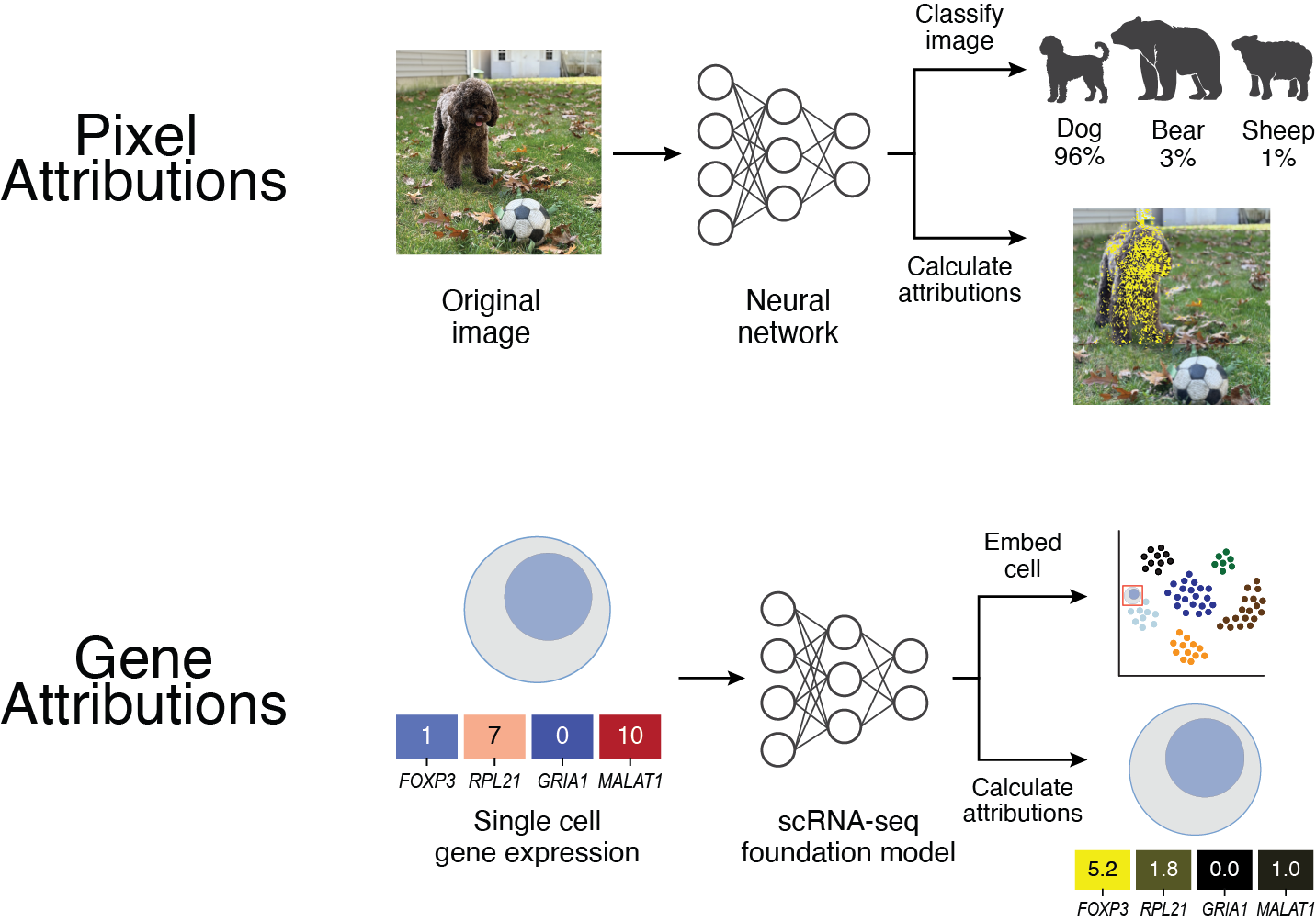 _images/overview_image.png